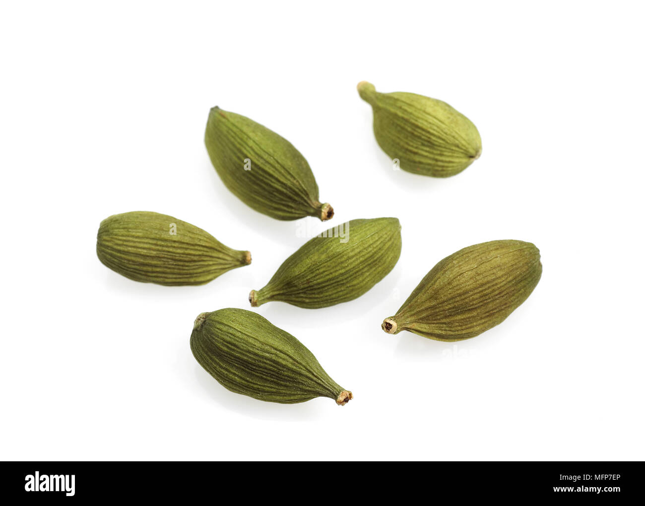 Cardamom, elettaria cardamomum, Seeds against White Background Stock