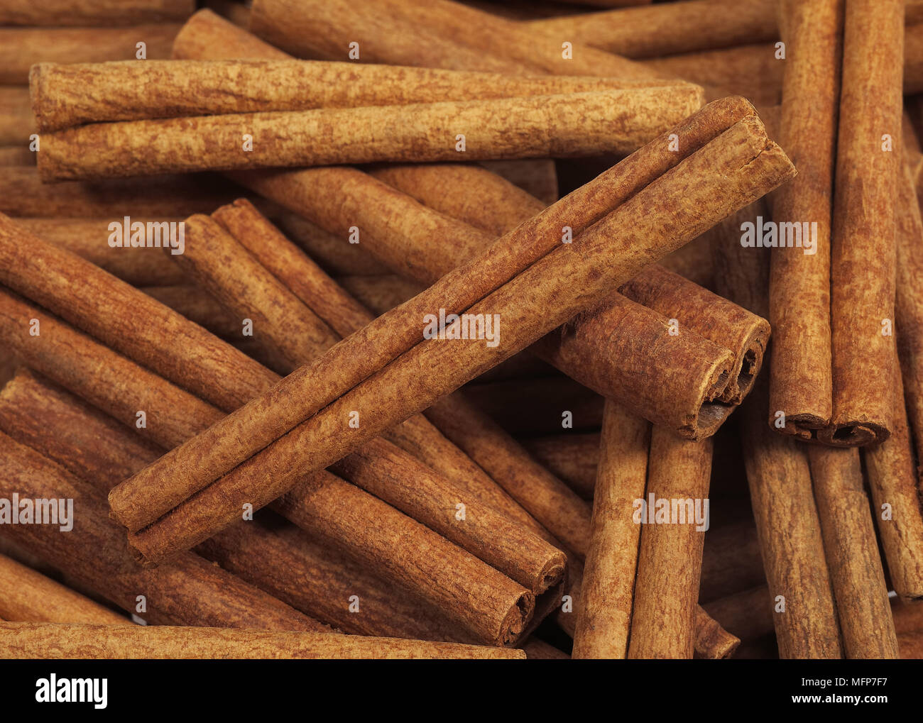 Cinnamon Bark, cinnamomum zeylanicum Stock Photo Alamy