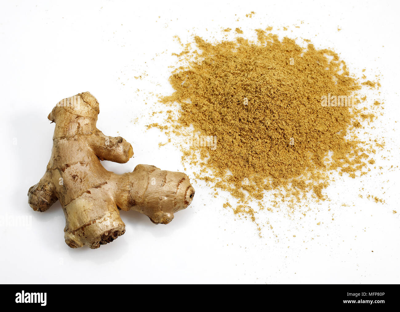 Ginger Powder and Root, zingiber officinale against White Background