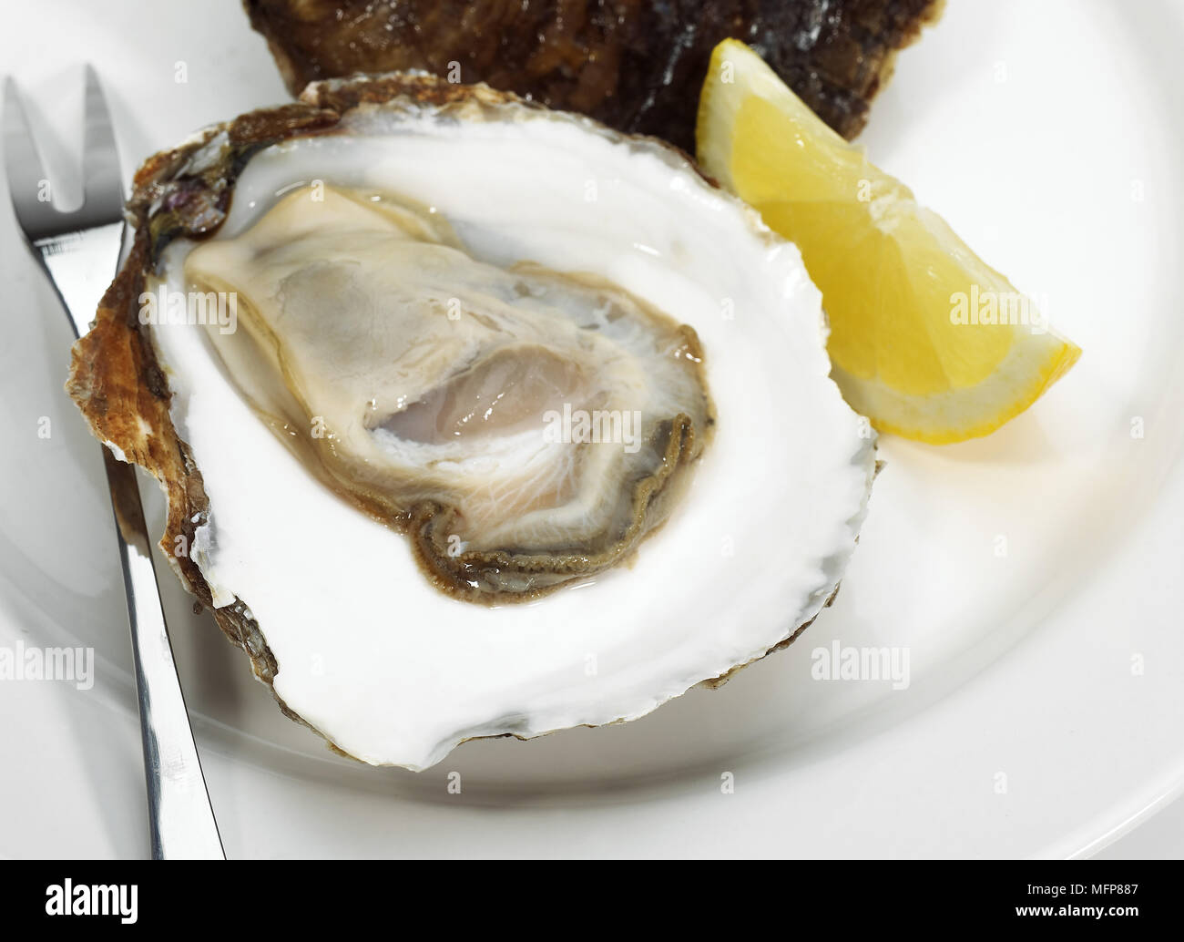 Plate with French Belon Oyster, ostrea edulis Stock Photo Alamy
