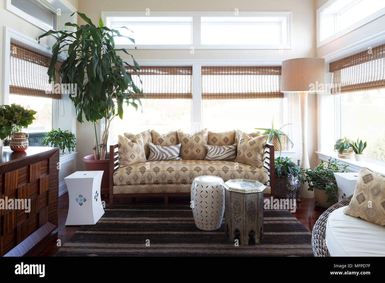 Sofa In Sitting Room With Striped Rug And Large Houseplant