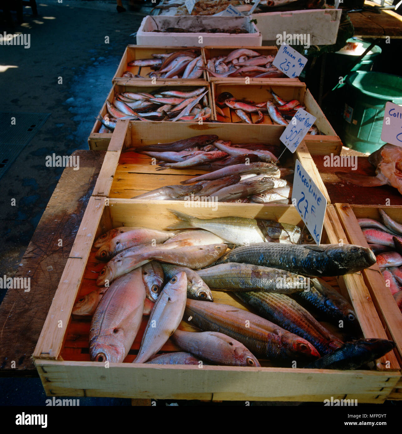 Fresh fish in market Stock Photo - Alamy