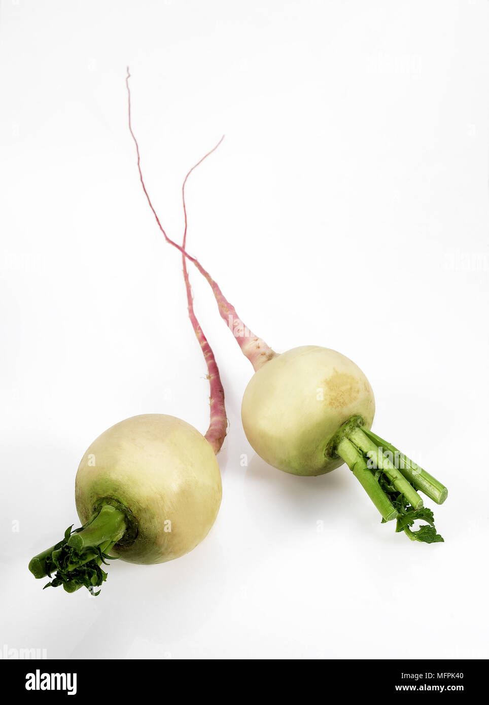 Turnips, brassica rapa, Vegetables against White Background Stock Photo Alamy