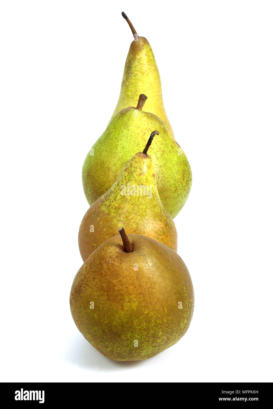 Comice Pear, Williams Pear, Beurre Hardy Pear, Conference Pear, pyrus communis, Fruits against White Background Stock Photo