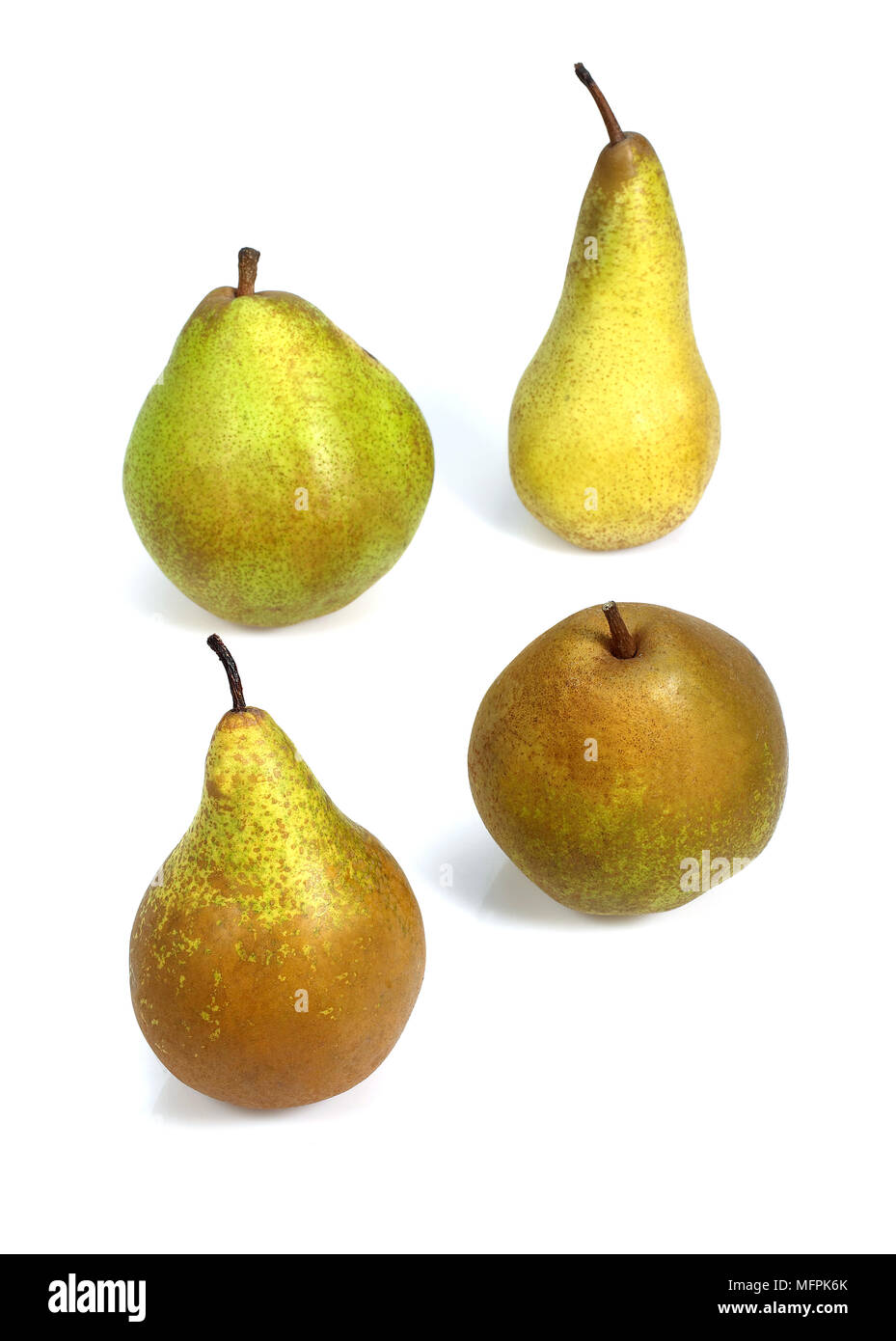 Comice Pear, Williams Pear, Beurre Hardy Pear, Conference Pear, pyrus communis, Fruits against White Background Stock Photo