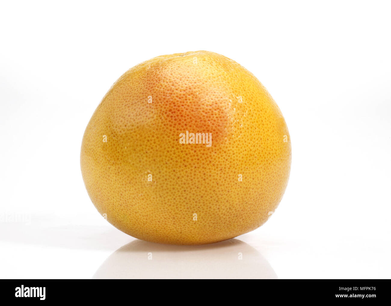 Pomelo, citrus paradisi, Fruit against White Background Stock Photo Alamy