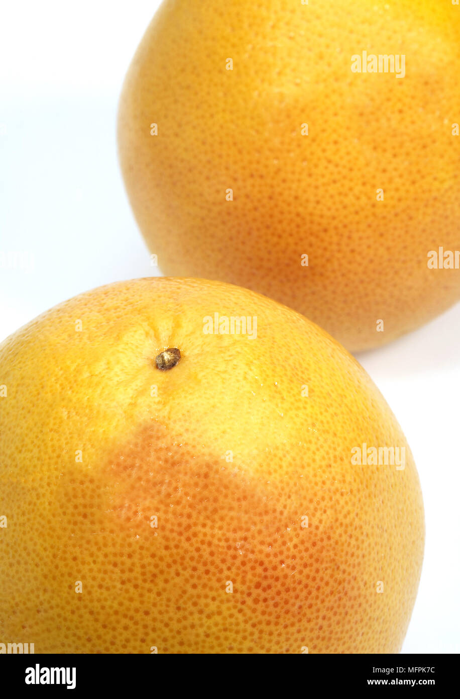 Pomelo, citrus paradisi, Fruits against White Background Stock Photo