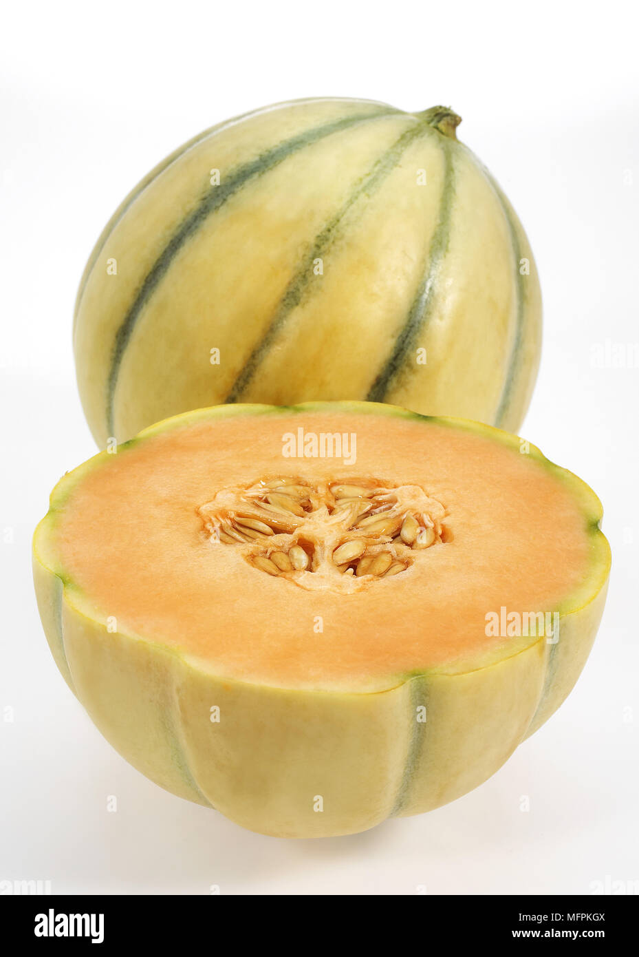 Cavaillon Melon, cucumis melo, Fruits on White Background Stock Photo