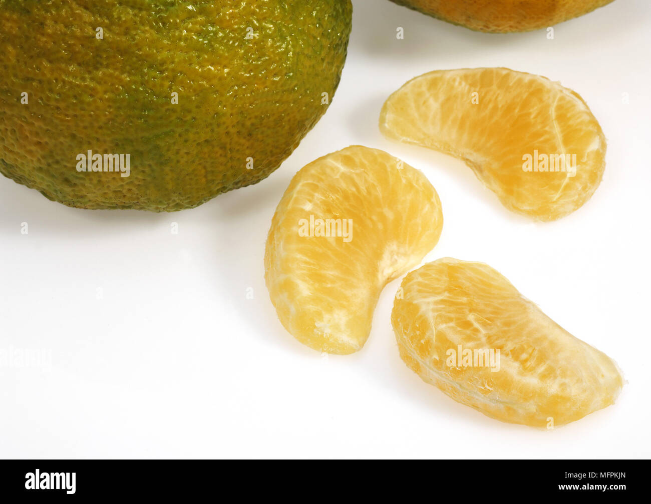 Ugly Grapefruit, citrus xtangelo, Fruits against White Background Stock