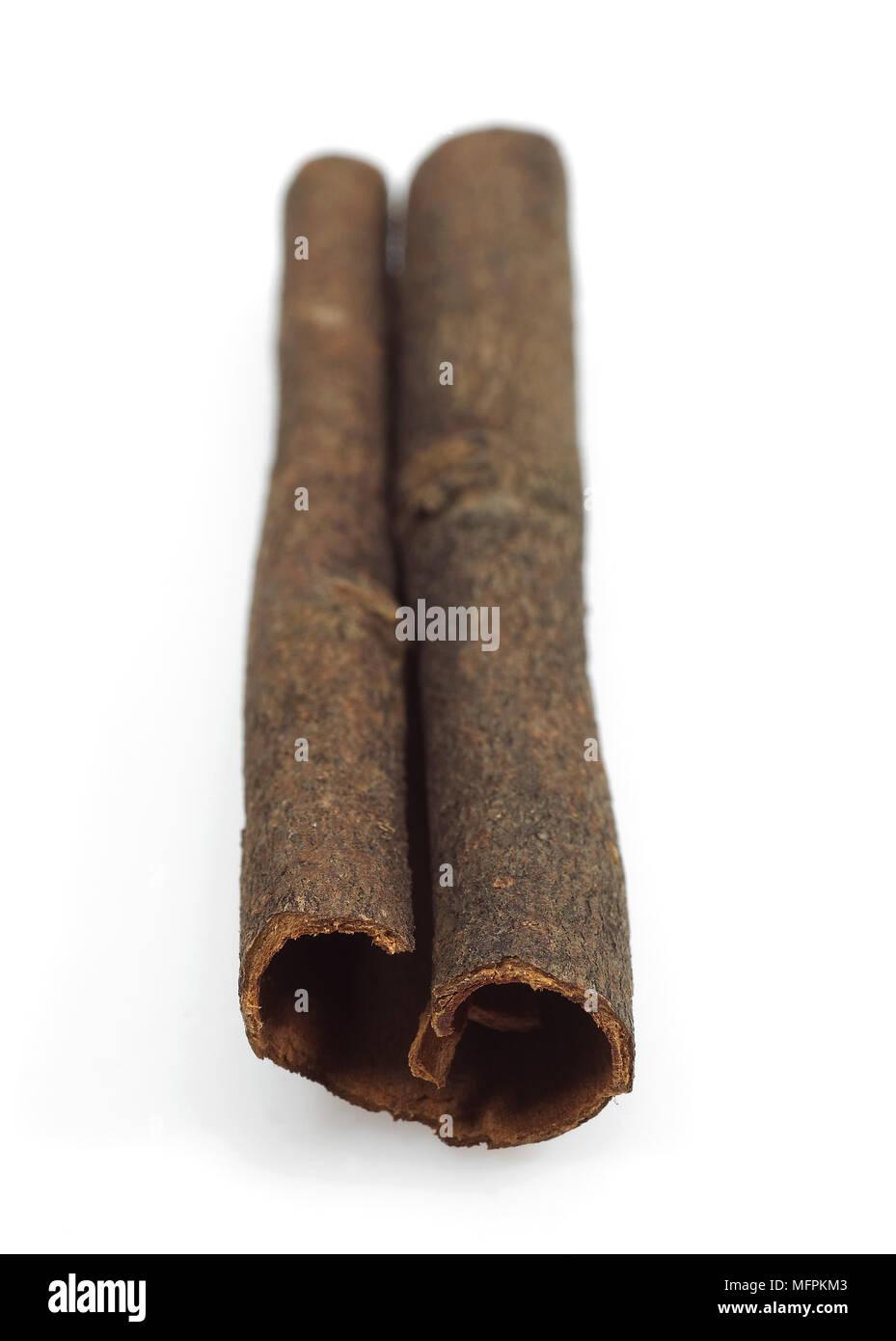 Chinese Cinnamon or Cassia Cinnamon, cinnamomum aromaticum Stock Photo