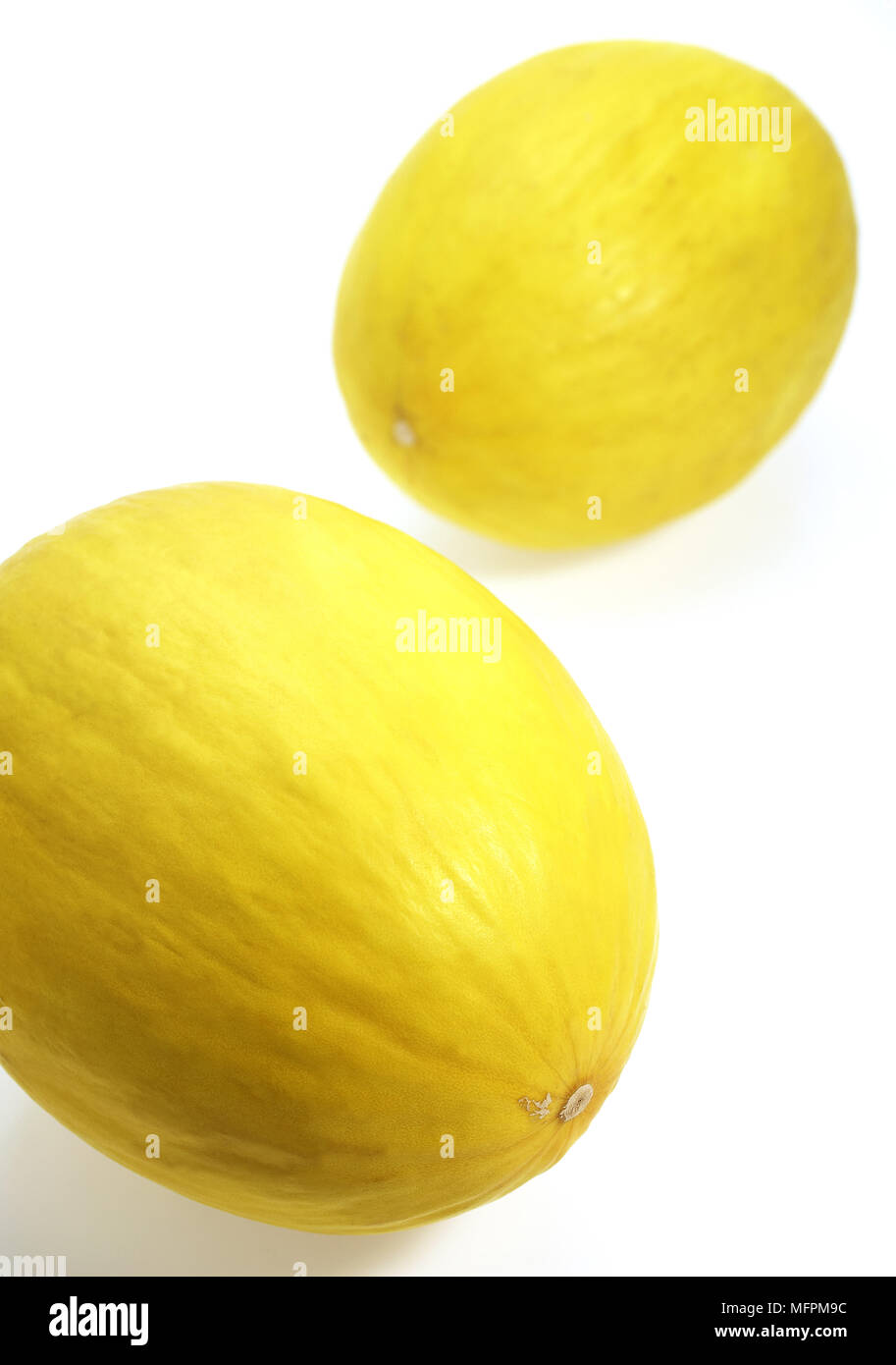Yellow Spanish Melon, cucumis melo, Fruits against White Background Stock Photo