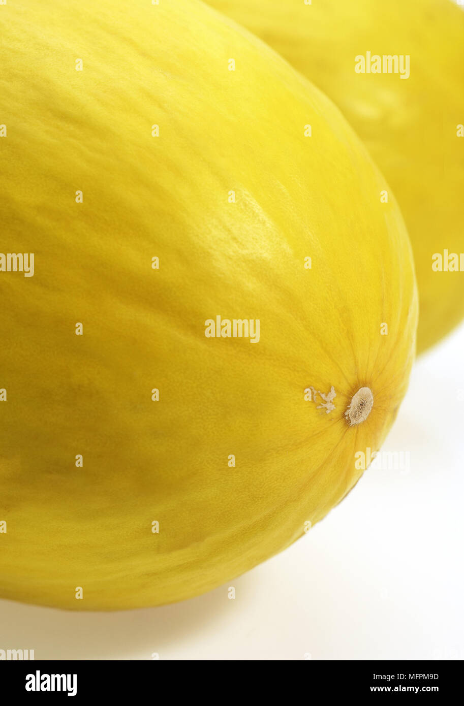 Yellow Spanish Melon, cucumis melo, Fruit against White Background Stock Photo