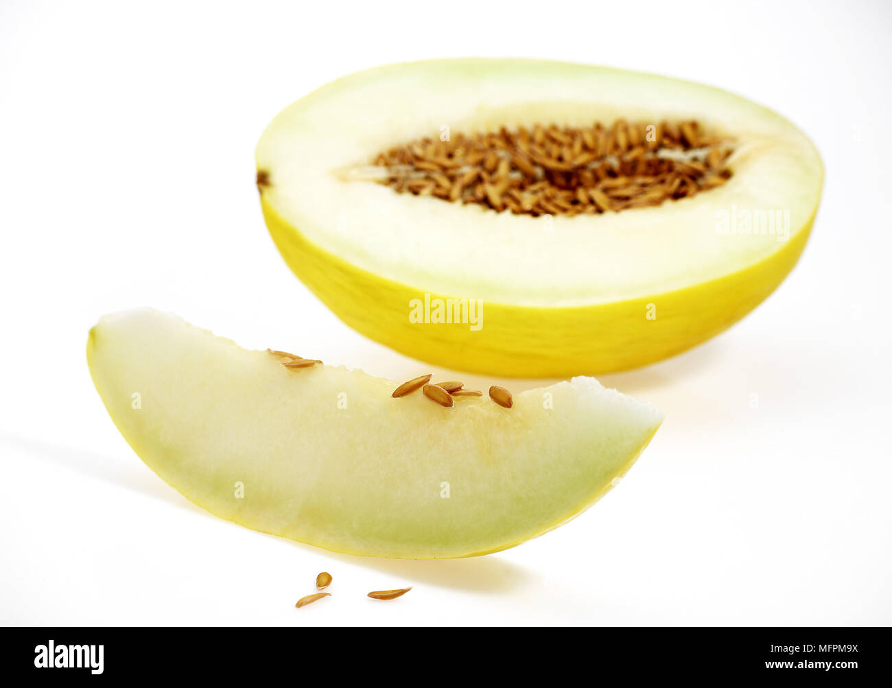 Yellow Spanish Melon, cucumis melo, Fruit against White Background Stock Photo