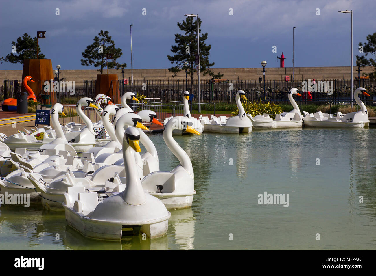 26 April 2018 Bangor Northern Ireland. Swan themed pedalos for hire in the popular Pickie  Centre sit empty on a cool spring morning Stock Photo