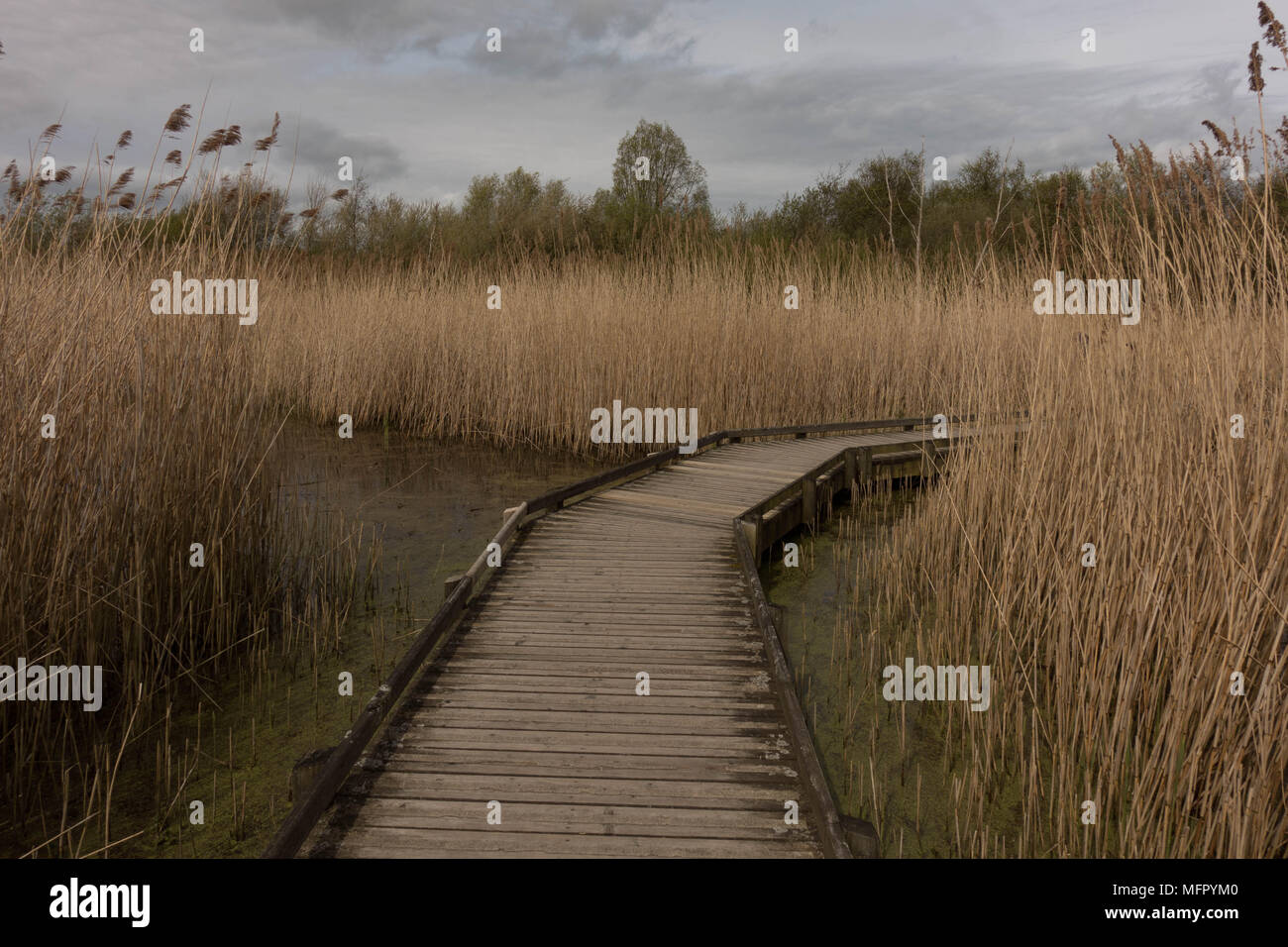 Conwy RSPB Reserve. Comwy. Wales Stock Photo