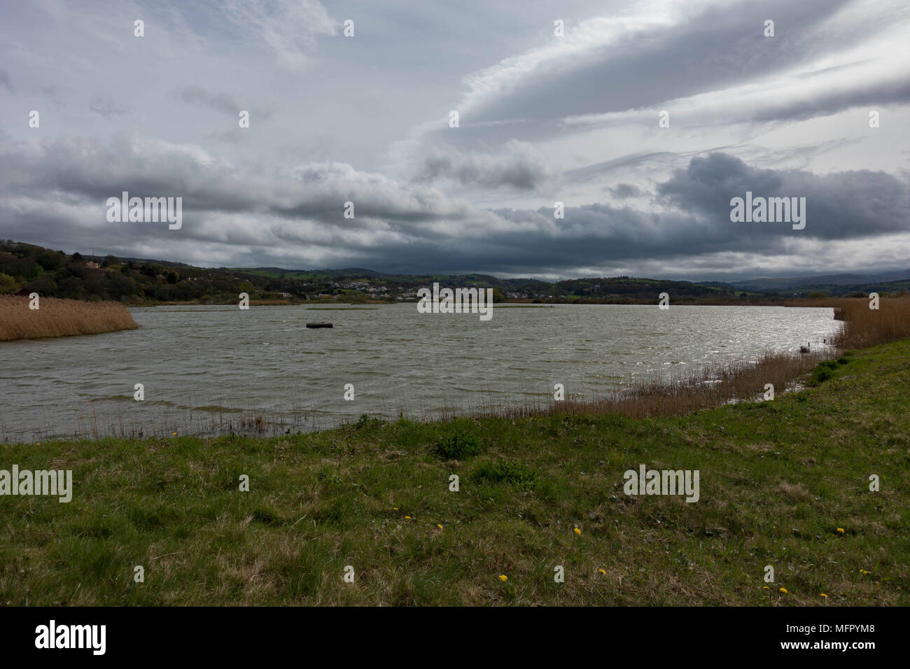 Lake at the RSPB Conwy Reserve, Conwy, Wales Stock Photo