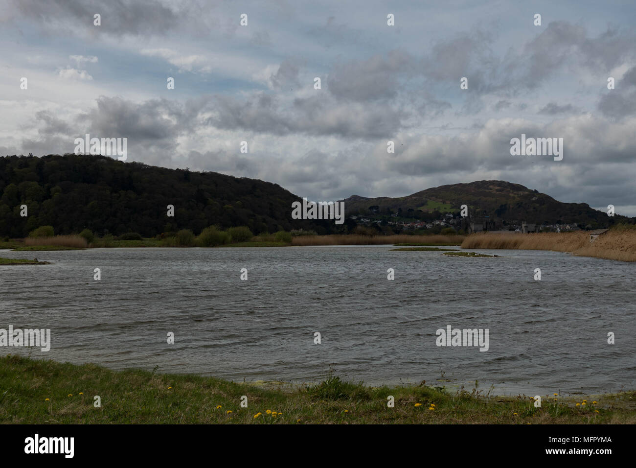 Lake at the RSPB Conwy Reserve, Conwy, Wales Stock Photo