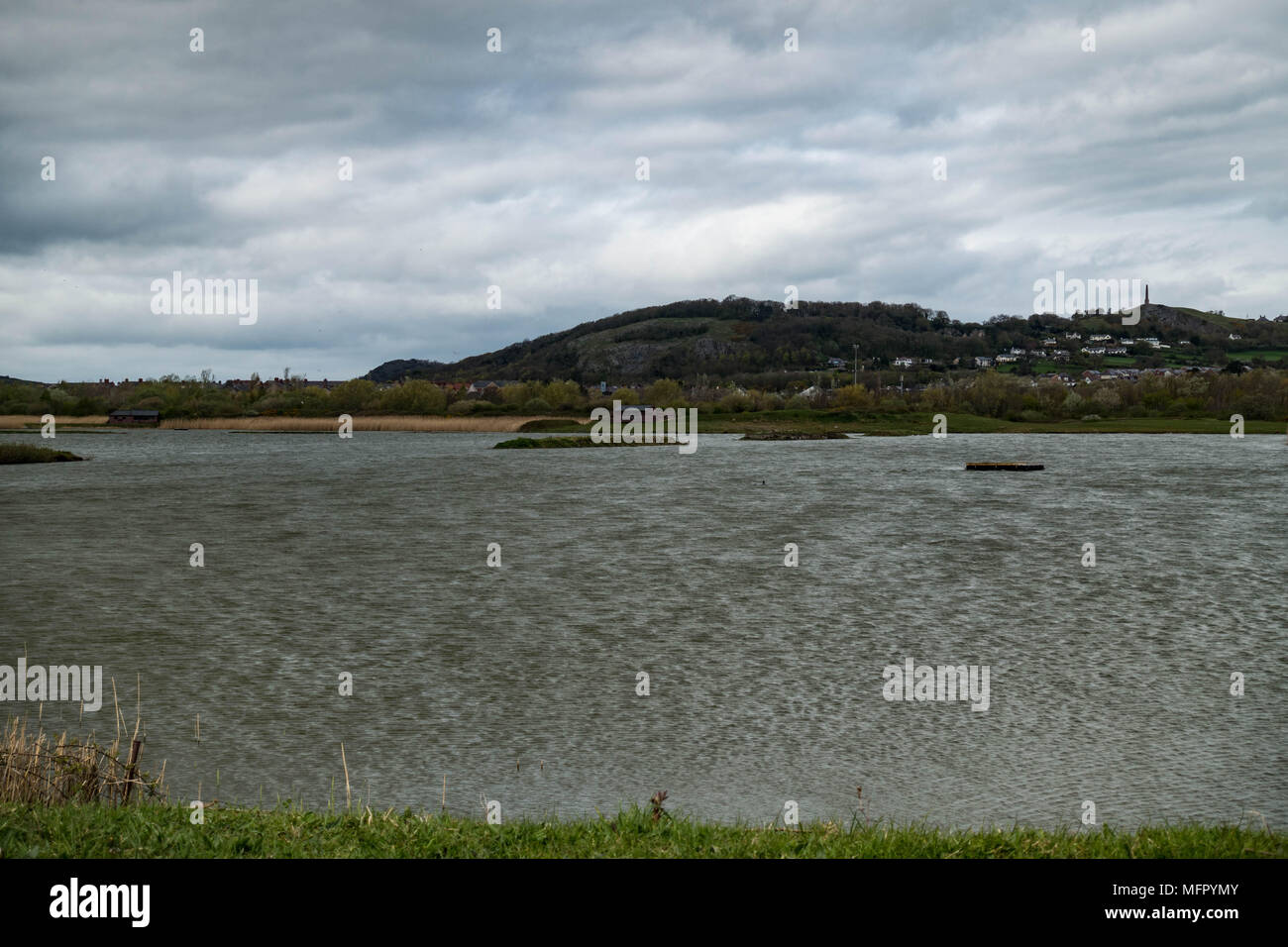 Lake at the RSPB Conwy Reserve, Conwy, Wales Stock Photo