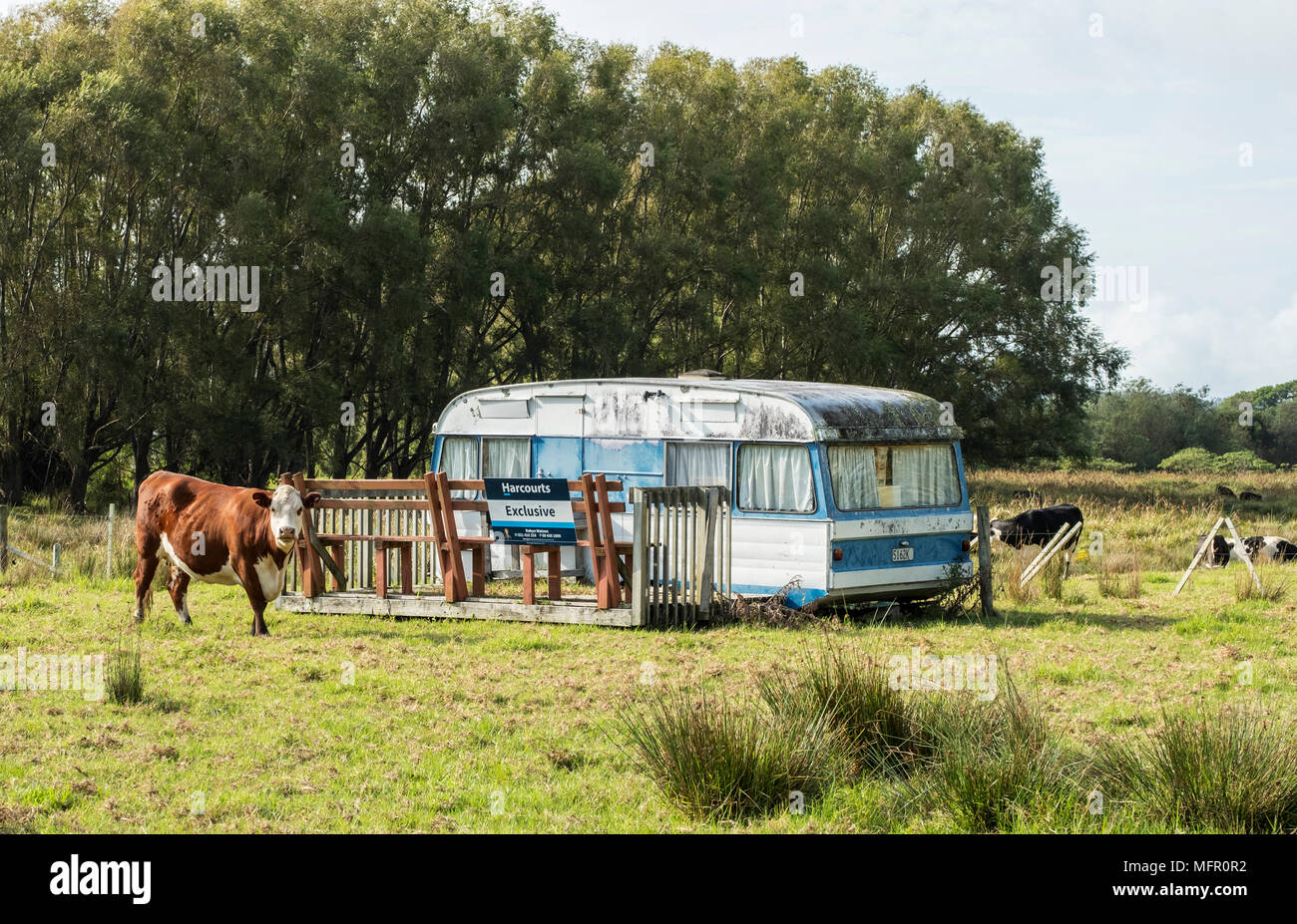 Housing Crisis In New Zealand Stock Photo Alamy Housing Crisis In New Zealand Stock Photo Alamy