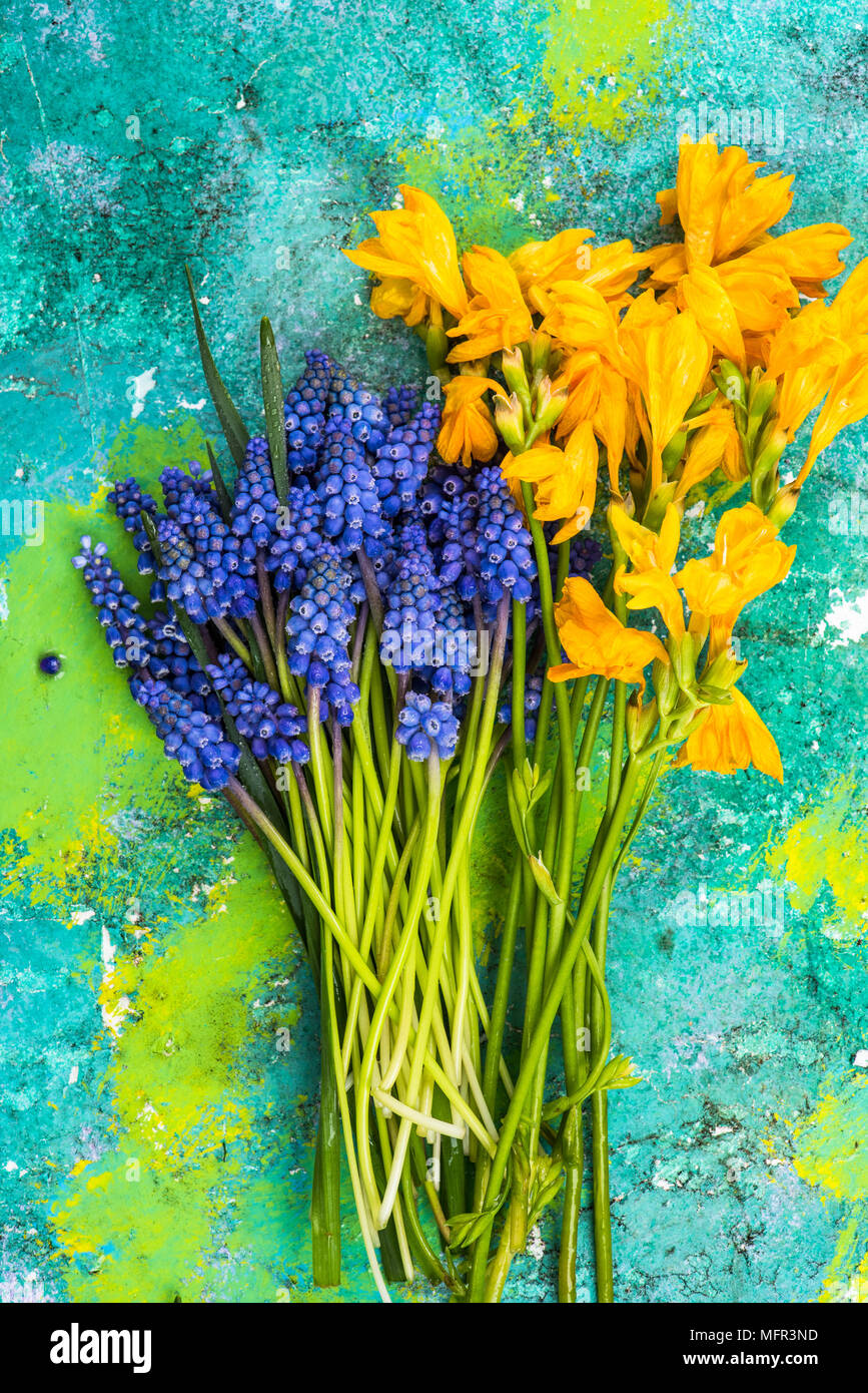 Freshly cut spring flowers from garden Stock Photo Alamy