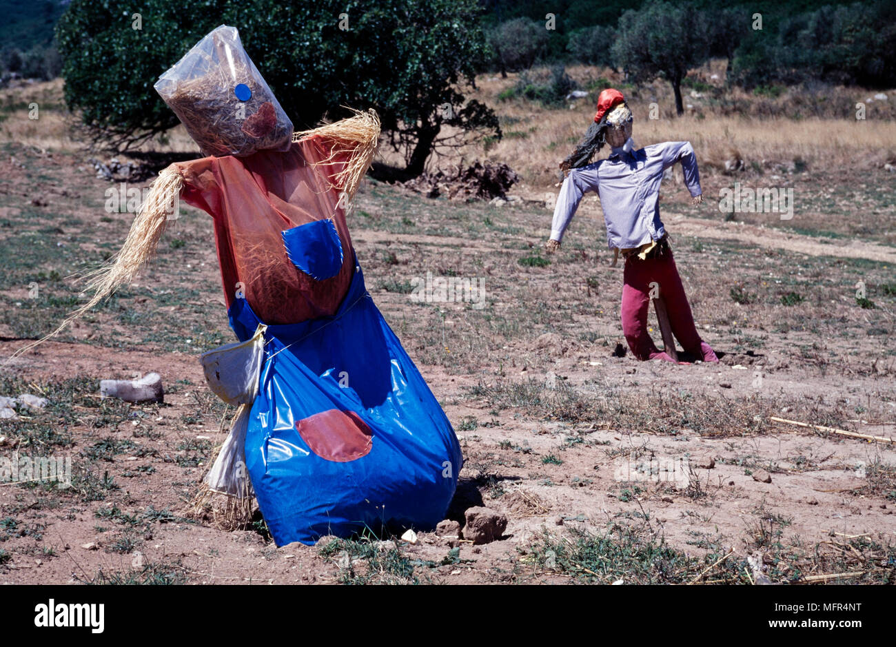 Scarecrow contest, Portugal Stock Photo