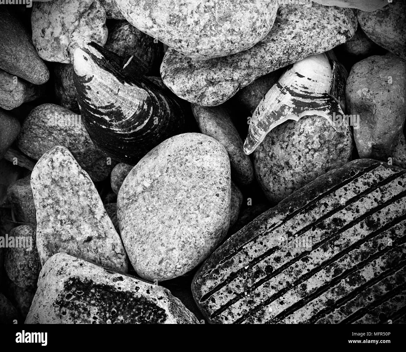 Close-up of pebbles on the shore of Aberdeen Harbour, Scotland, UK. Stock Photo