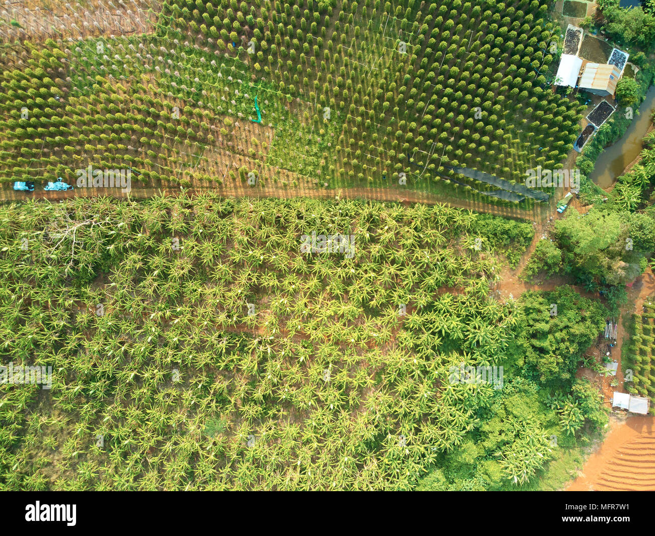Aerial drone view of countryside cambodia Stock Photo