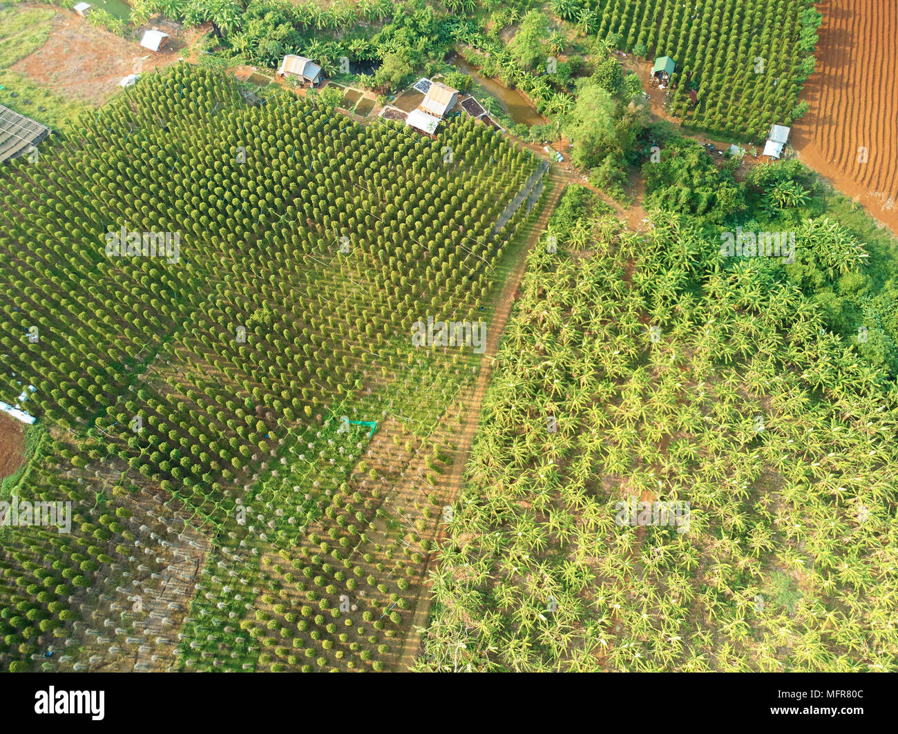 Aerial drone view of countryside cambodia Stock Photo