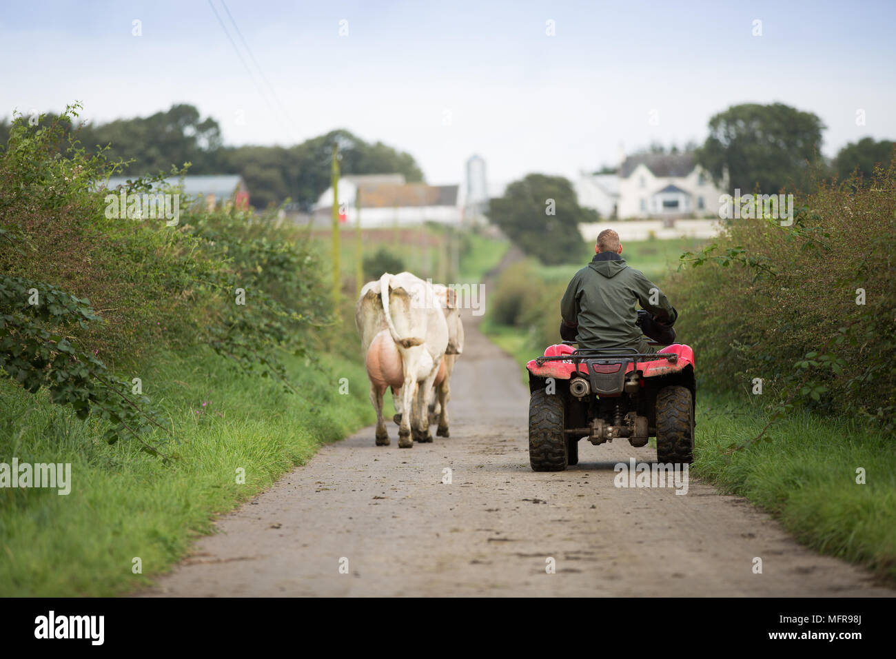 On quad bike hi-res stock photography and images - Alamy