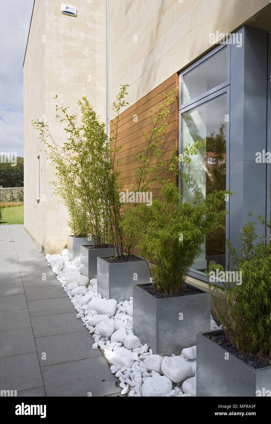 Plants in metal containers outside contemporary house Stock Photo Alamy