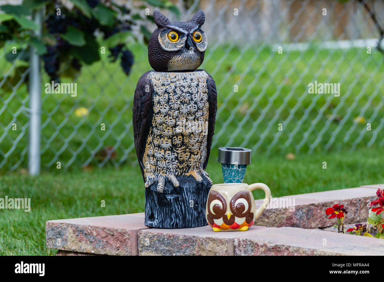 an owl having morning coffee in the garden Stock Photo