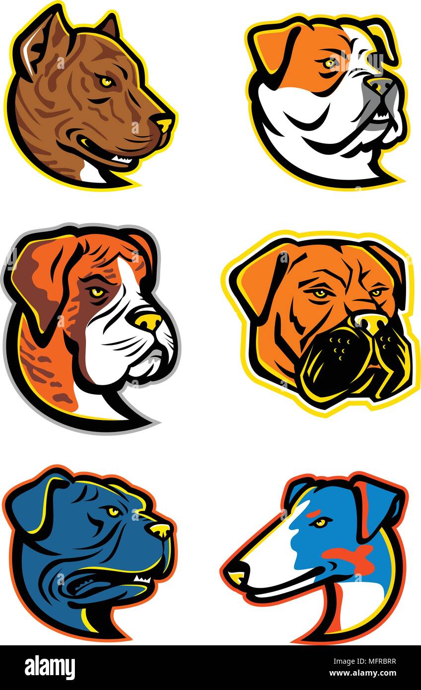 Mascot icon illustration set of heads of bulldogs and terriers like the Spanish Bulldog or Alano Espanol, American Bulldog, Boxer dog, Bullmastiff, Le Stock Vector