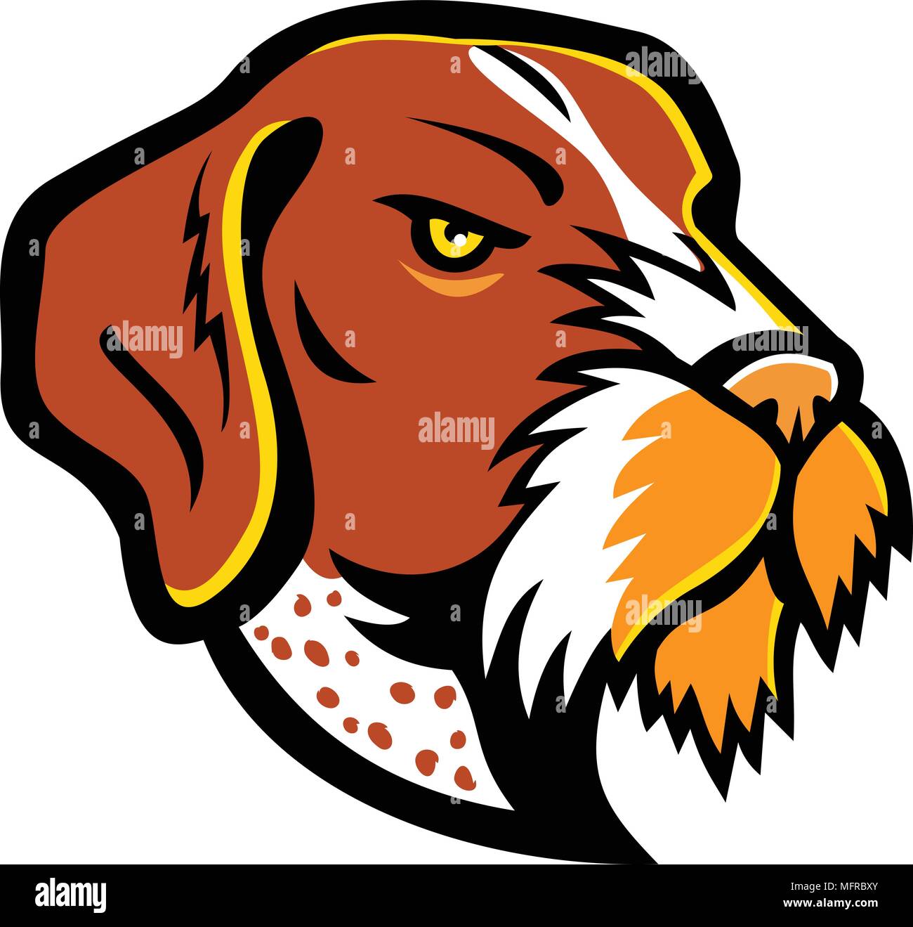 Mascot icon illustration of head of a German Wirehaired Pointer, a medium to large-sized griffon type breed of dog viewed from side on isolated backgr Stock Vector