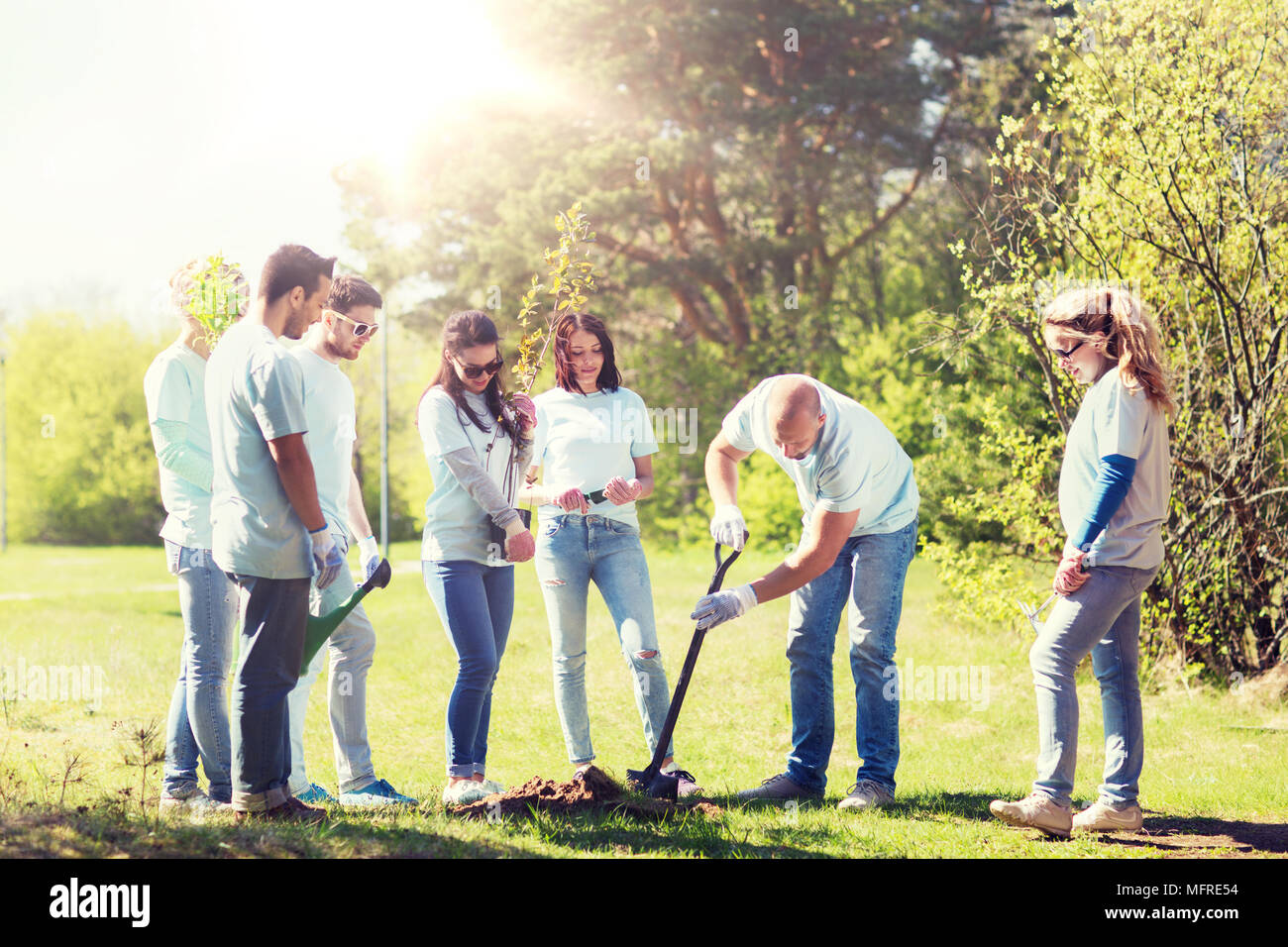 Group Of Volunteers Planting Tree In Park Stock Photo - Alamy