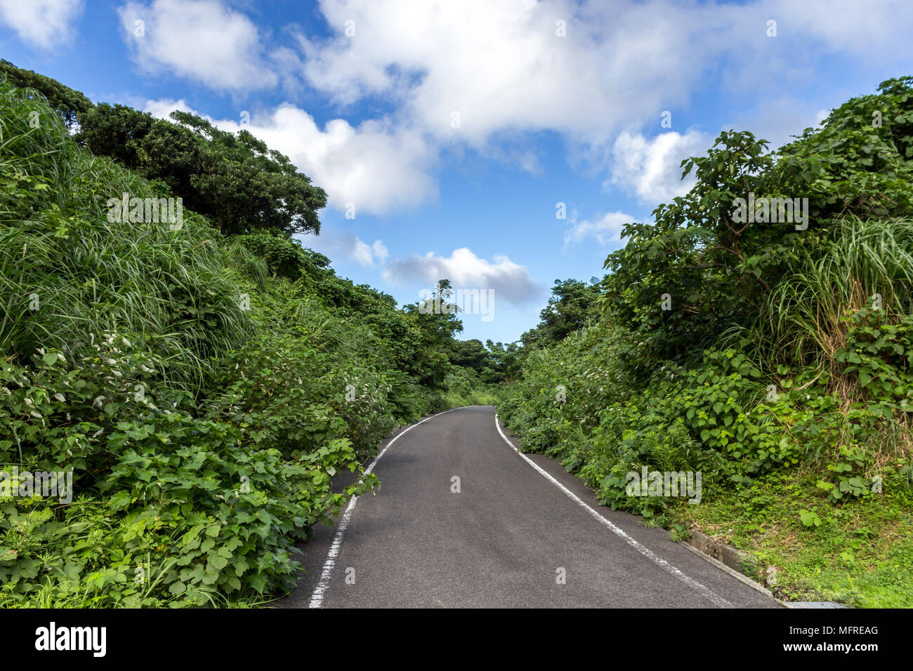 Road surrounded by vegetation; Shimokoshiki Island, Kagoshima Prefecture, Japan Stock Photo