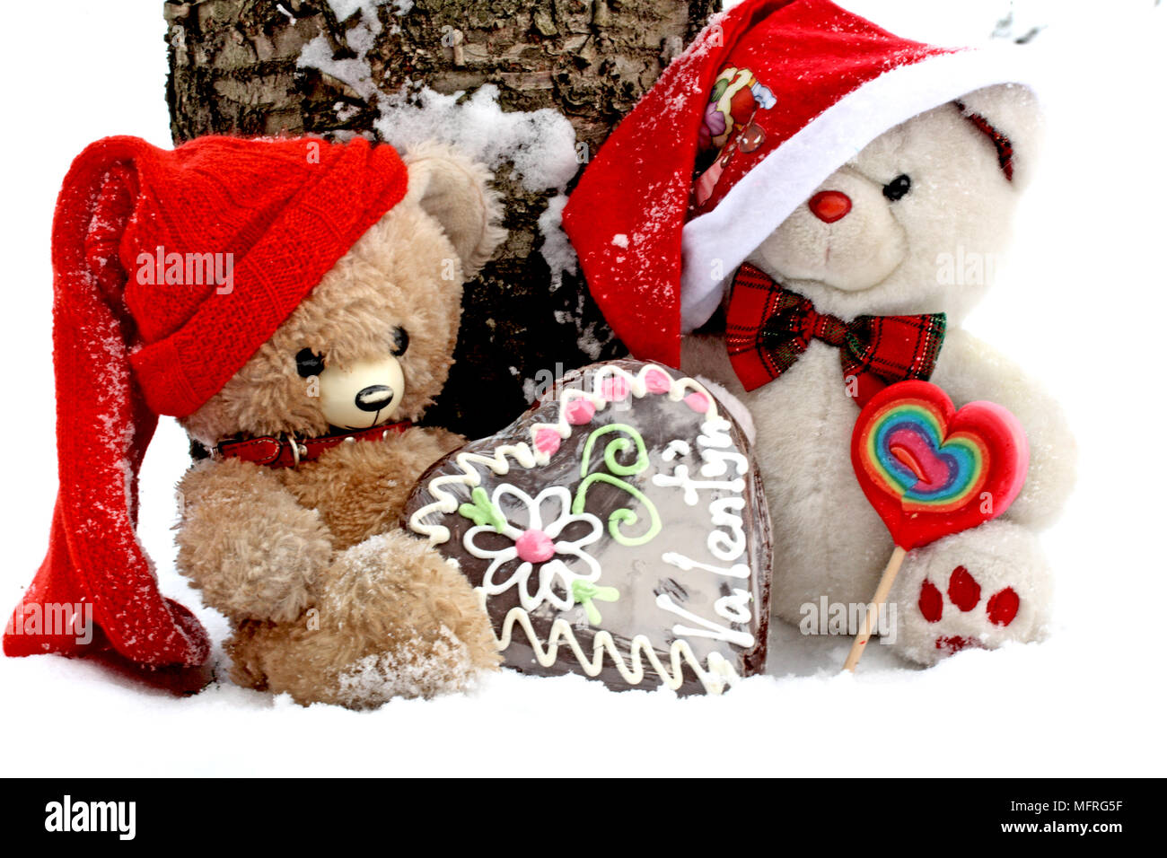 TwoTeddy Bears sit under the cherry tree with  Valentine cookie on a cold snowy January day. Vintage  Bear has a broken heart and wishes to deliver a Stock Photo