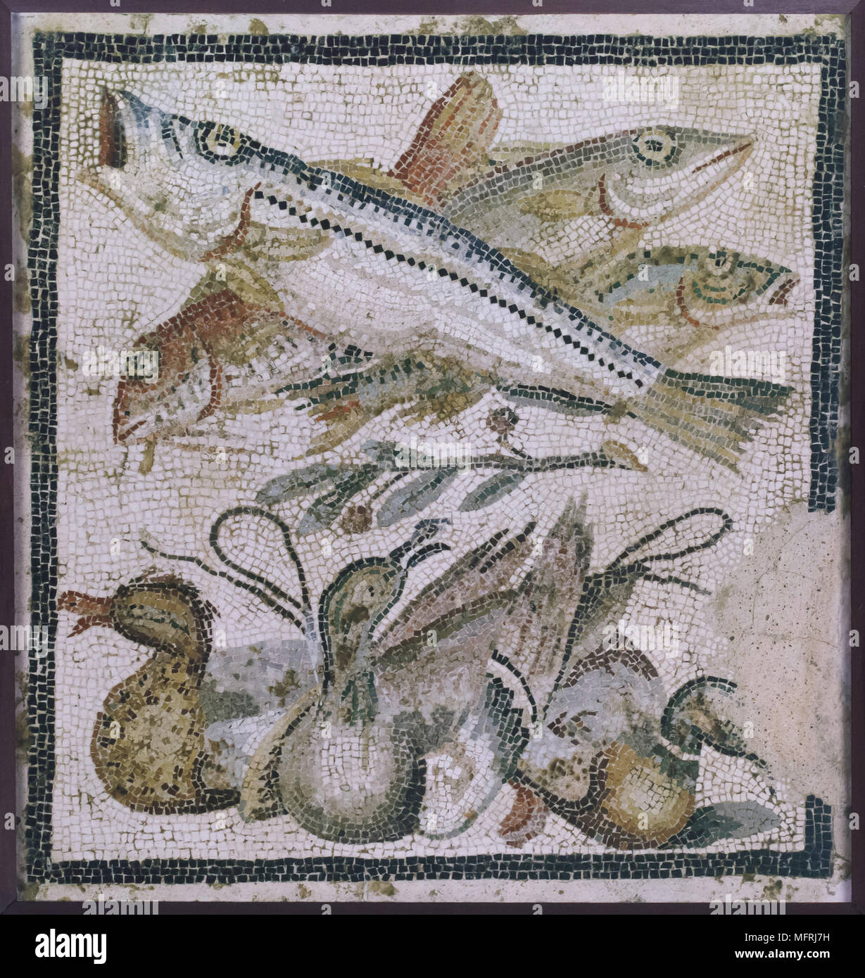 Fish and ducks depicted in the Roman mosaic dated from 90-20 BC from the Casa del Granduca di Toscana (House of the Grand Duke) in Pompeii, now on display in the National Archaeological Museum (Museo Archeologico Nazionale di Napoli) in Naples, Campania, Italy. Stock Photo