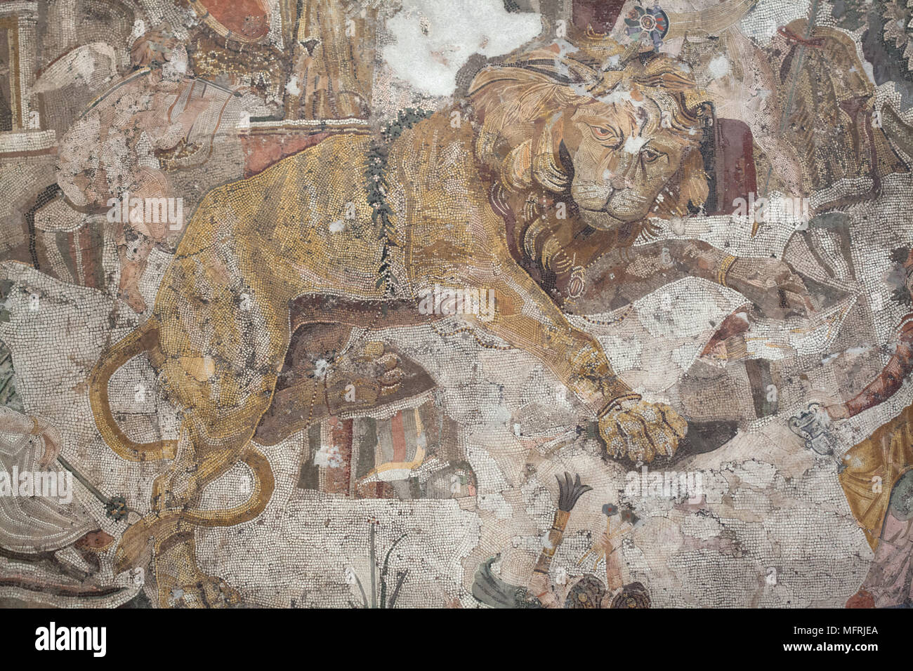 Lion and Cupid depicted in the Roman mosaic from Casa del Centauro (House of the Centaur) in Pompeii, now on display in the National Archaeological Museum (Museo Archeologico Nazionale di Napoli) in Naples, Campania, Italy. Stock Photo