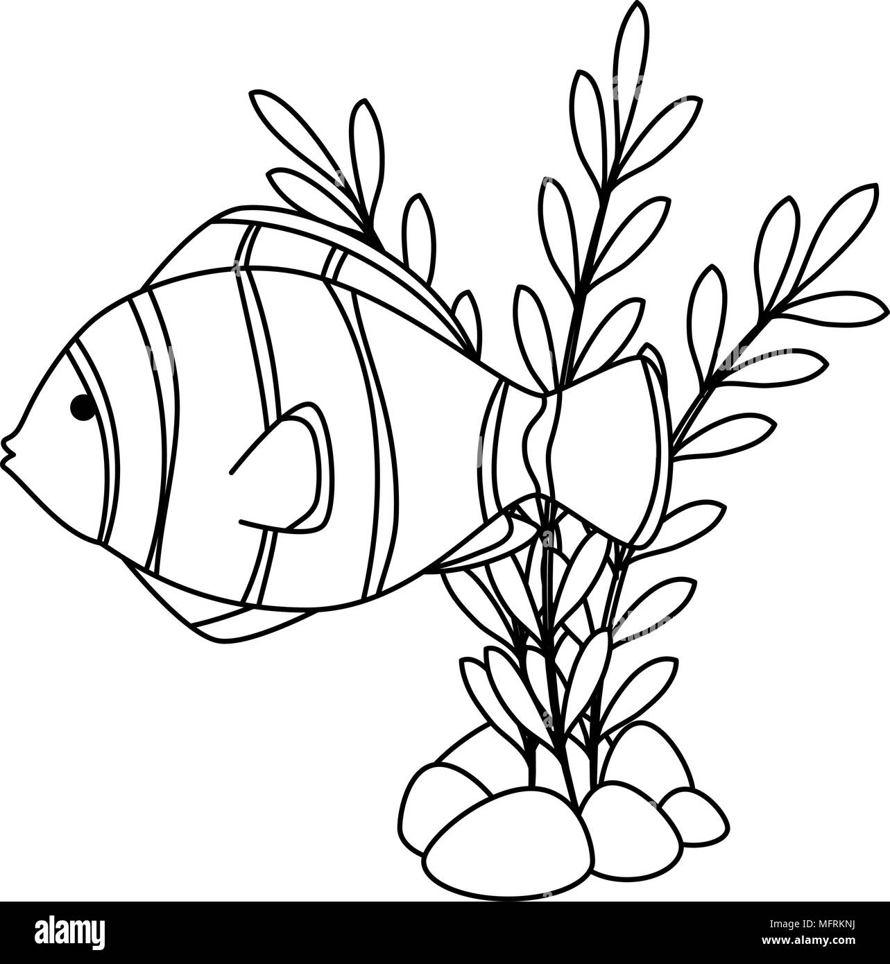 seaweeds clipart black and white fish