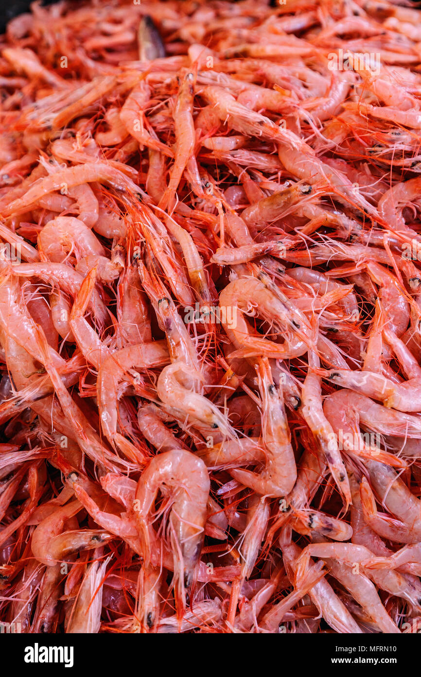 Fresh raw shrimp at the fish market Stock Photo Alamy