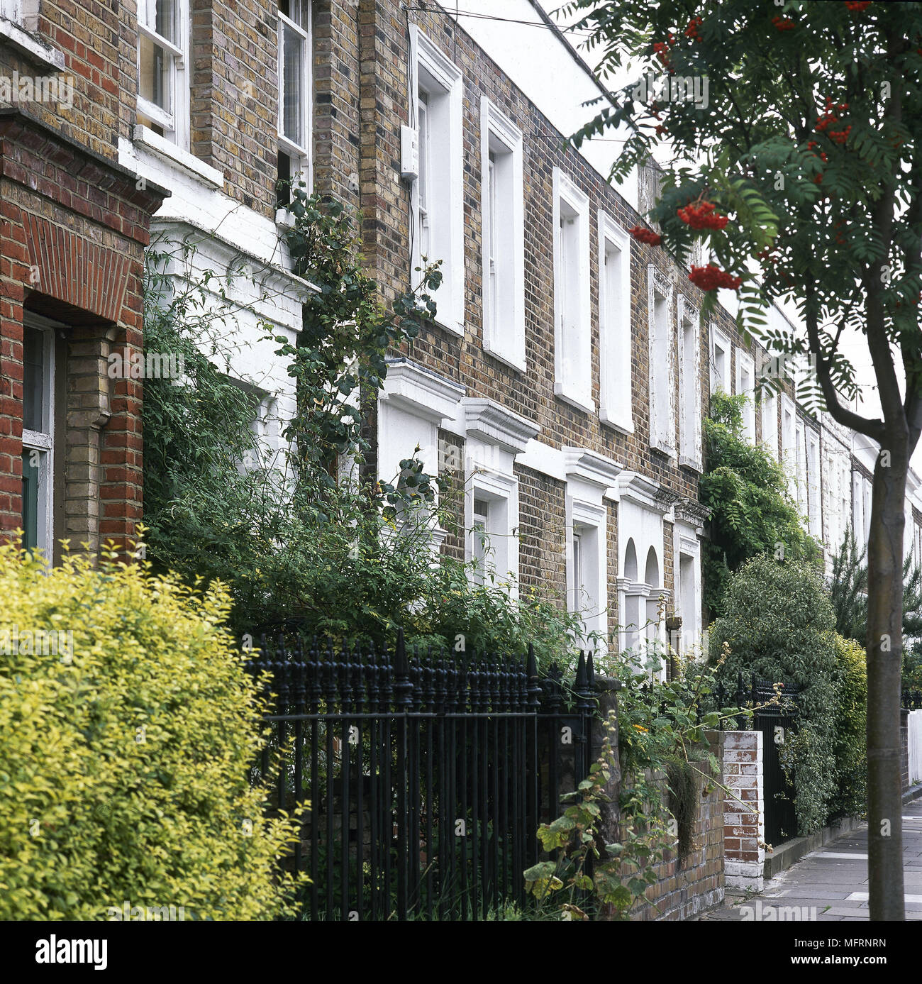 Exterior of Victorian, red brick terraced town houses, Stock Photo