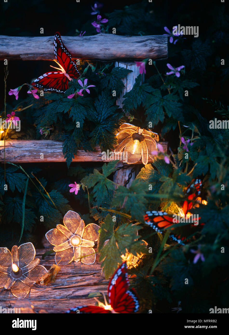 Outdoor fairy lights on wooden steps Stock Photo Alamy