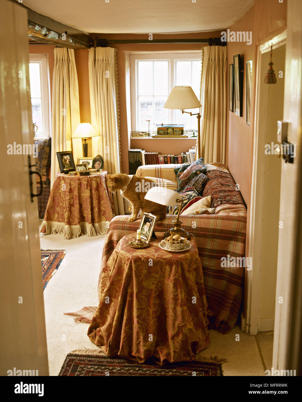 Cat in sitting room with draped windows fabric-covered tables and sofa. Stock Photo