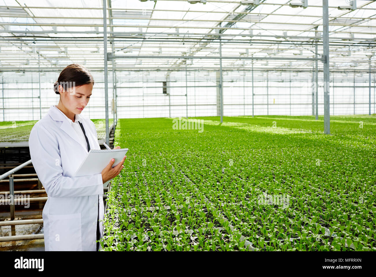 Agricultural engineer hires stock photography and images Alamy