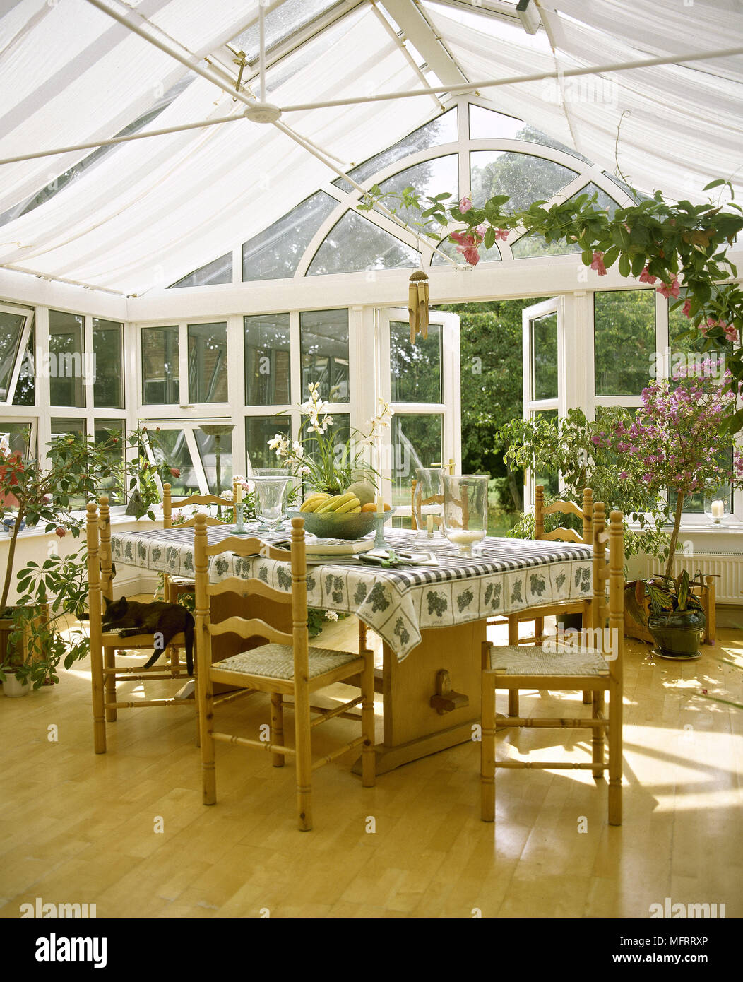 Tabletop Conservatory Conservatory with table and chairs and potted plants Stock Photo - Alamy
