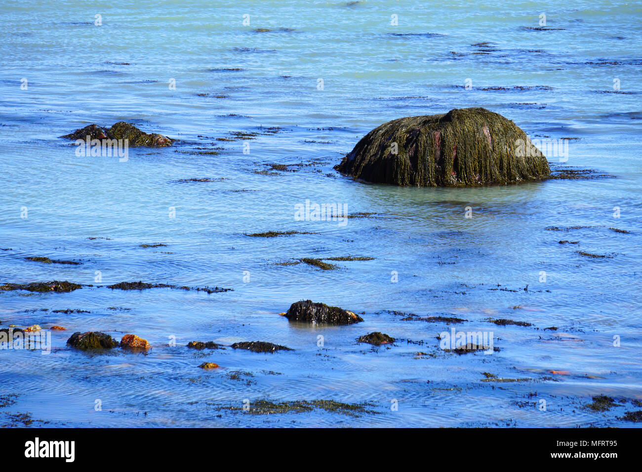bluegreen ocean water off the coast of Massachusetts, USA Stock Photo