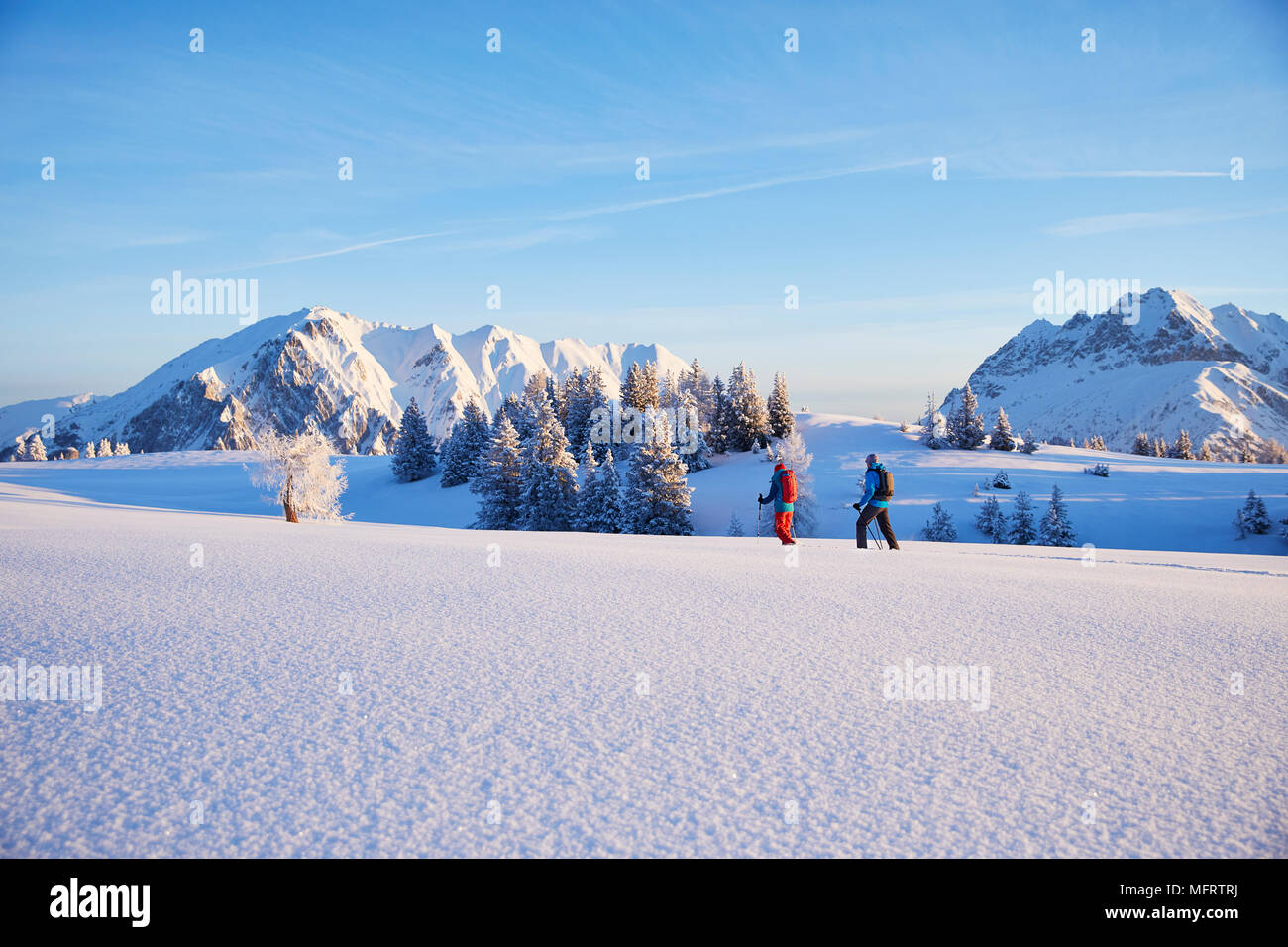 Snowshoeing, hiking in winter landscape, Simmering Alm, Obsteig, Mieming, Tyrol, Austria Stock Photo