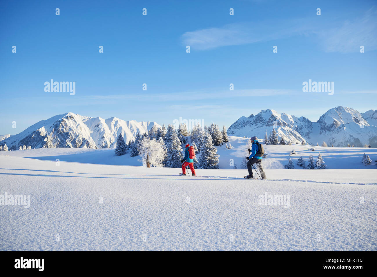 Snowshoeing, hiking in winter landscape, Simmering Alm, Obsteig, Mieming, Tyrol, Austria Stock Photo
