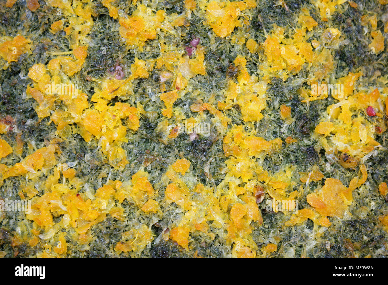 Black Olive Paste Covered In Yellow, Morocco Stock Photo
