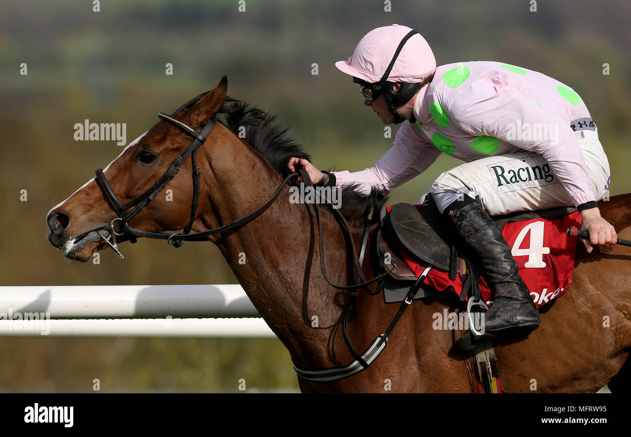 Winning ladbrokes champion stayers hurdle hires stock photography and
